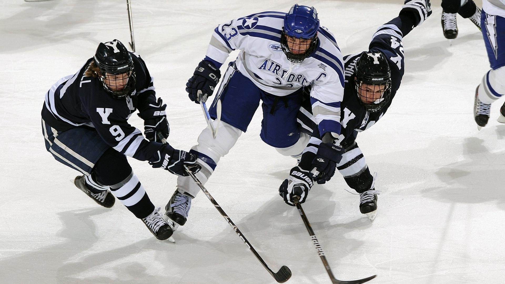 “挑战自我,SHO-CHAN Run 2025赛道见证香港跑步新高峰”